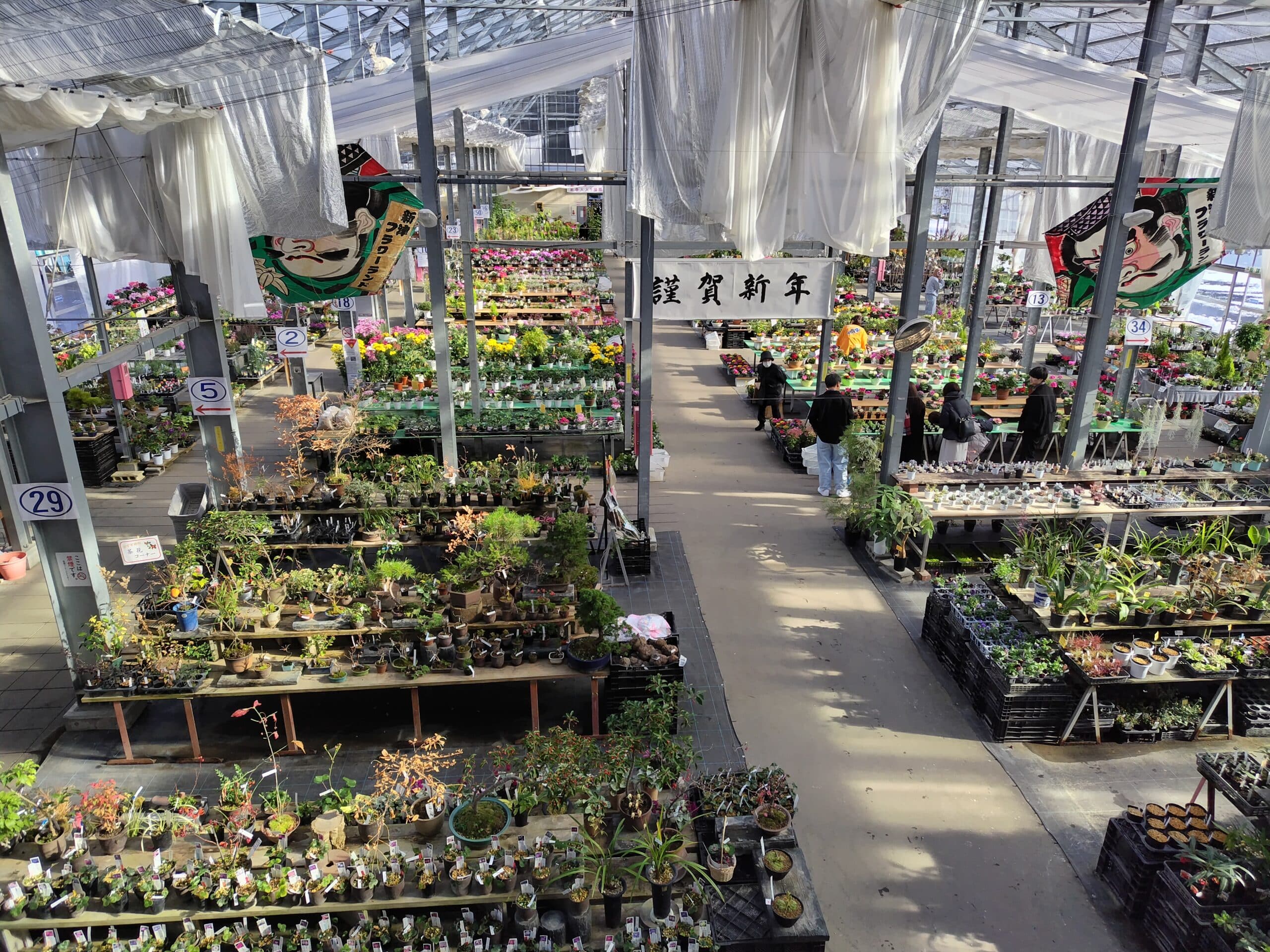 新年のご挨拶 | 新津フラワーランド